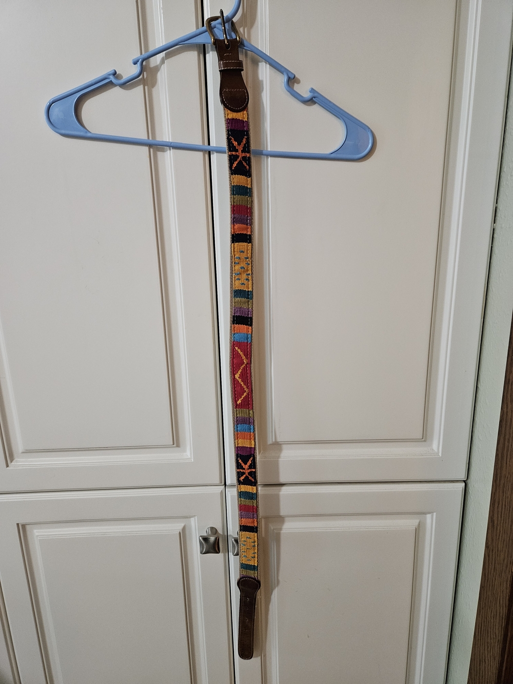 A Tail We Could Wag Colorful Woven Cotton Guatemalan Retro Leather Belt Eclectic